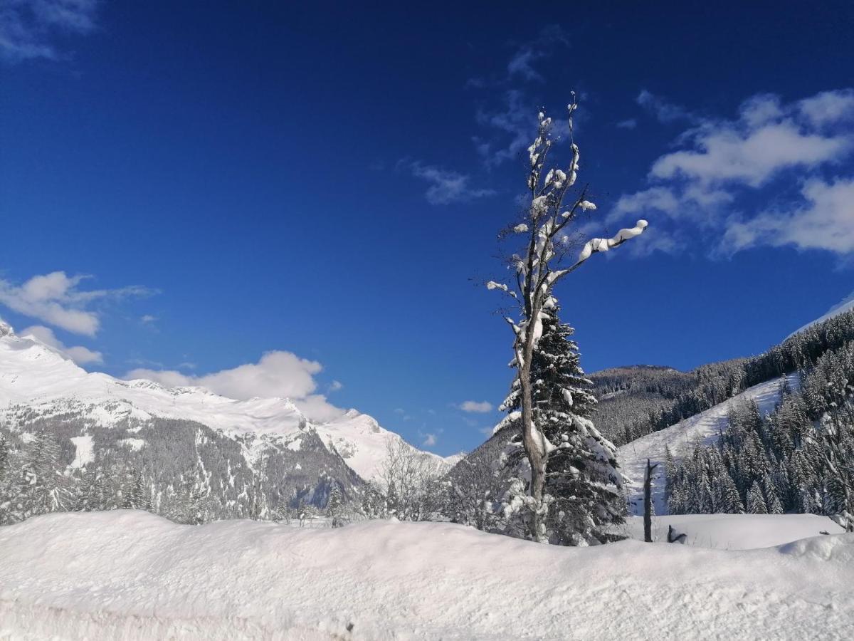 Bergaufe Chalets Mallnitz Exteriér fotografie